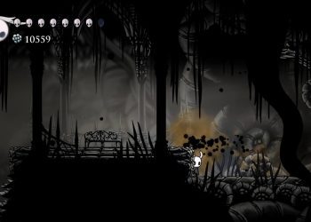Hollow Knight 39