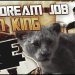 How I Got My Dream Job Working For Disney! Lion King!!