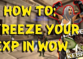 How to freeze your Exp in WoW