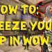 How to freeze your Exp in WoW