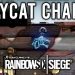 Iceycat Charm! - Rainbow Six Siege