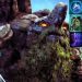 JAWAD - Tiny MID | Dota 2 | Jawad Tiny Gameplay | Stream 6