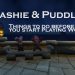 New Player Guide: What to do Before Playing World of Warcraft