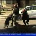 Pit Bull Attack Police K-9.   #FortniteTOM