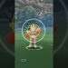 Pokemon Go Catching A Hitmonchan! Pokemon Go Fest 2022!