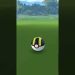 Pokemon Go Catching A Shelmet! Pokemon Go Fest 2022!