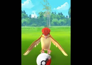 Pokemon Go Pidgeotto