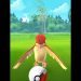 Pokemon Go Pidgeotto