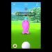 PokemonGO Shiny Encounter Compilation #9 - NEW SHINY PARTYHAT WURMPLE, WOBBUFFET, & RATICATE