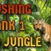 Pushing RANK 1 as JUNGLE
