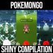 Shiny Alolan Rattata Scurries into the Spotlight! - Pokemon GO Shiny Compilation #264