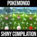 Shiny Galarian Zigzagoon Has Appeared! - Pokemon GO Shiny Compilation #267