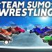 TEAM ROCKET LEAGUE 4v4 SUMO IS EVEN BETTER!