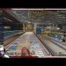 THROWIN A BAMBOOZLE | Apex Legends LiveStream