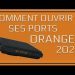 TUTO FR - COMMENT OUVRIR SES PORTS ORANGE 2022 ! [PC/XBOX/PS4/PS5]