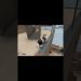 Team Fortress 2 Dance Party