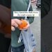 They Found The Guy From The Exams With Oranges. #shorts #tiktok #gaming #viral #trending #tiktok