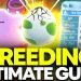 ULTIMATE Breeding Guide: Perfect IVs, Natures, Egg Moves | Pokemon Brilliant Diamond & Shining Pearl