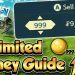 Ultimate Money Guide! - Pokemon Legends Arceus