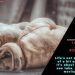 VIP RESCUE - SOMETIMES A MEDKIT CAN MAKE ALL THE DIFFERENCE || #17 XCOM2 WOTC Legendary Rookie Run