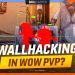 WALLHACKING IN WOW PVP? Dragonflight Hunter Preview