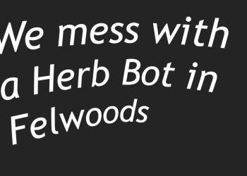We kited a bot from Felwood to Thunder Bluff in WoW: Classic