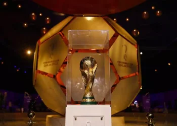 Why will the FIFA World Cup be held in the winter of 2022