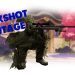 Xenogenesis Trickshot Montage FREE MONTAGES