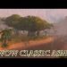 wow classic Game Asmr_healing9 #asmr #wowclassic #wow_asmr