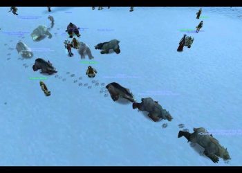 Bear Conga Line