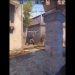 Best CSGO Tactic #shorts #viral #fyp #esports #csgo #csgofunny Credits: @SovietWomble