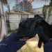 COUNTER STRIKE GO GAMEPLAY MY JOURNEY TO GET KILLS PER ROUND 045