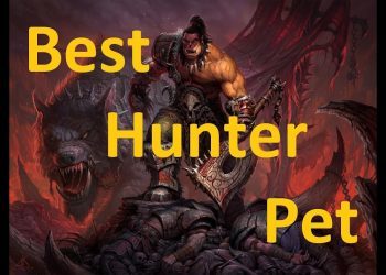 Classic WoW Best Hunter Pet