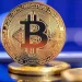 Coins with the most upside these cryptocurrencies could explode
