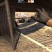 Counter-Strike: Global Offensive (GAMEPLAY #3)