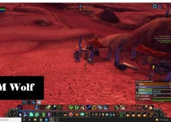 Dem Posten des Cenarius helfen | Help Cenarion Post WoW TBC Horde Quest | GM Wolf | WoW TBC Classic