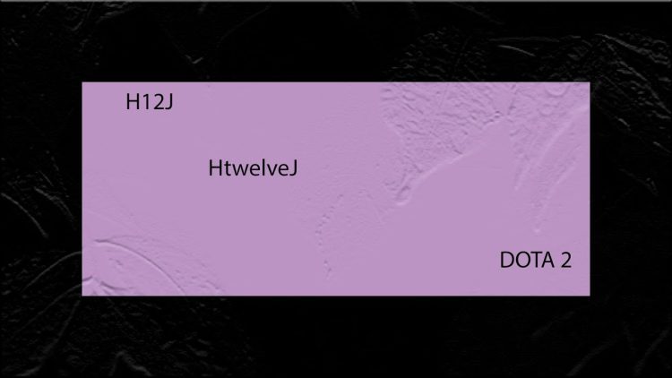 #H12J Dota 2 ranked #Snapfire defeat tower