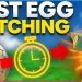 HOW TO HATCH EGGS FAST in Pokemon Sword and Shield | POKEMON EGG HATCHING GUIDE |