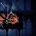 Hollow Knight 12