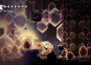 Hollow Knight 38