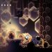 Hollow Knight 38
