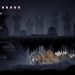 Hollow Knight 45