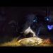 League of Legends Kindred the Eternal Hunters - 1 Hour Login Screen