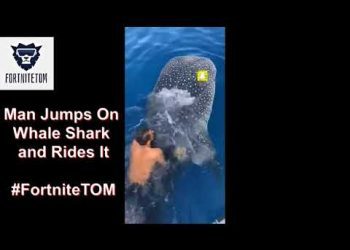 Man Jumps On Whale Shark and Rides It #FortniteTOM
