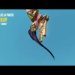 Overwatch - POTG Widow #11