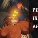 Overwatch: Pirate in Africa got play of the game