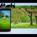 Pokemon Go Beginners Guide- Gyms!
