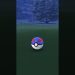 Pokemon Go Catching A Koffing!