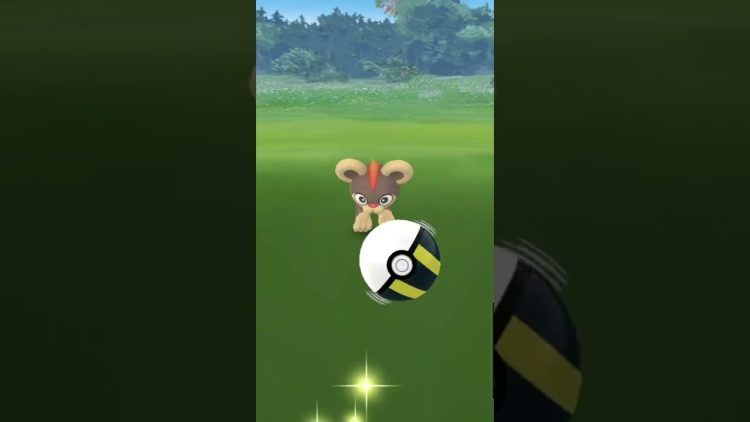 Pokemon Go Catching A Litleo! Pokemon Go Fest 2022!
