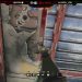 RAINBOW SIX SIEGE   3 NEUE GEHEIME TRICKS! Thermite Glitch And Wall Glitch